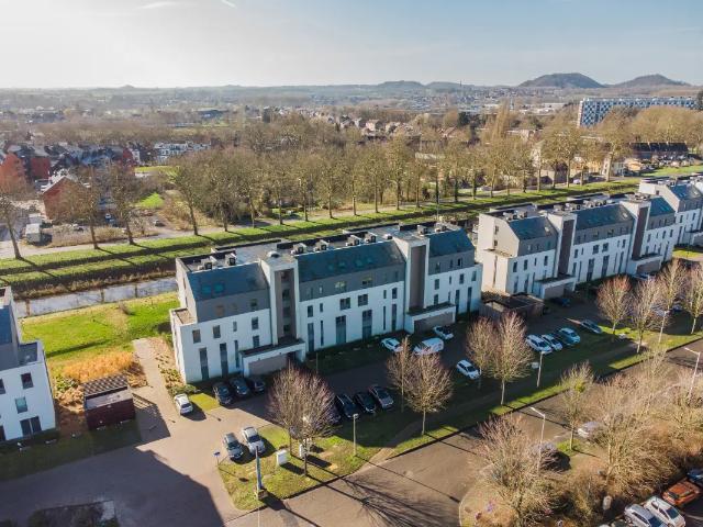 Kot vente à Bergen, Wallonie