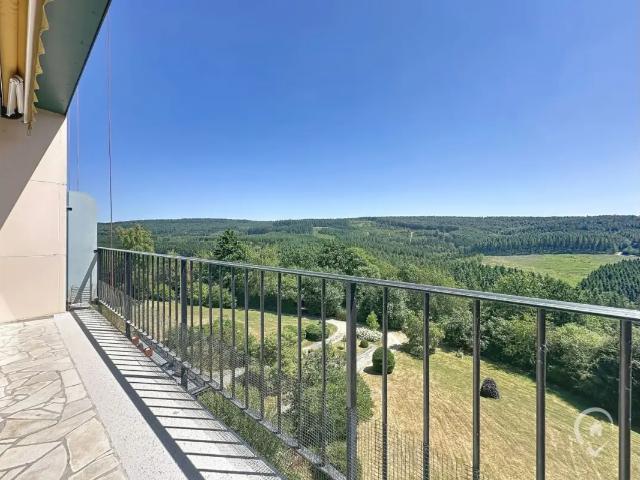 Kot vente à Nassogne, Wallonie