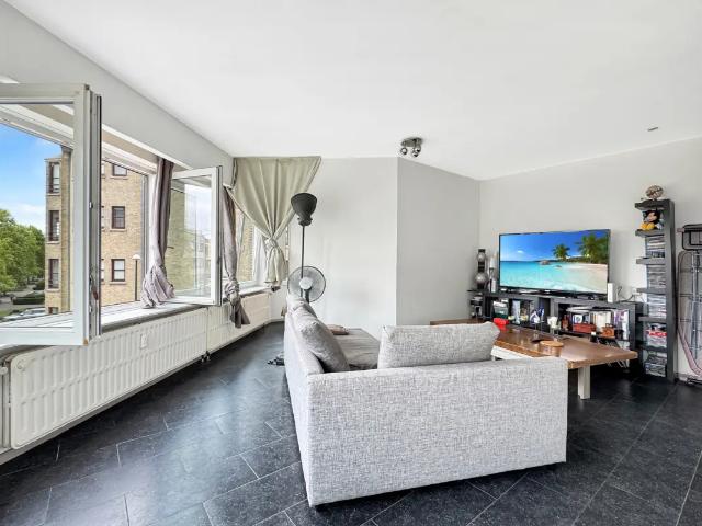 Kot vente à Brussel, Bruxelles