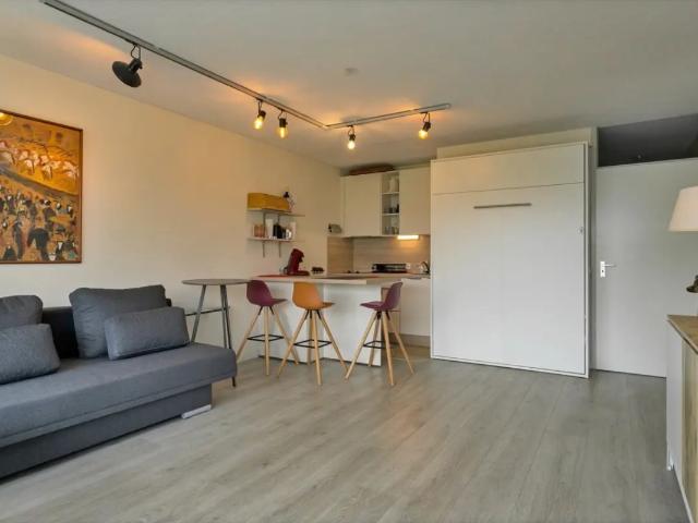 Kot vente à Nieuwpoort, West-Vlaanderen