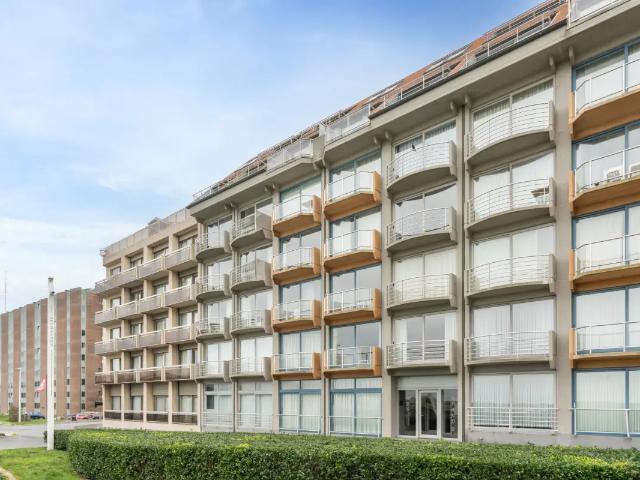 Kot vente à Nieuwpoort, West-Vlaanderen