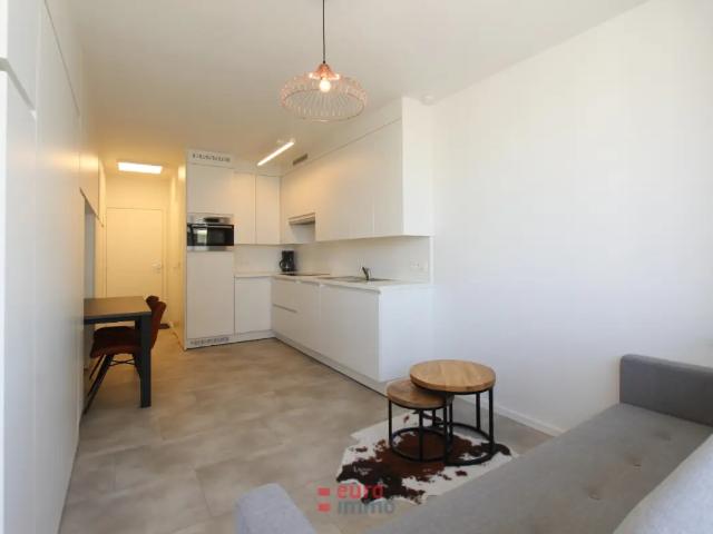 Kot vente à Nieuwpoort