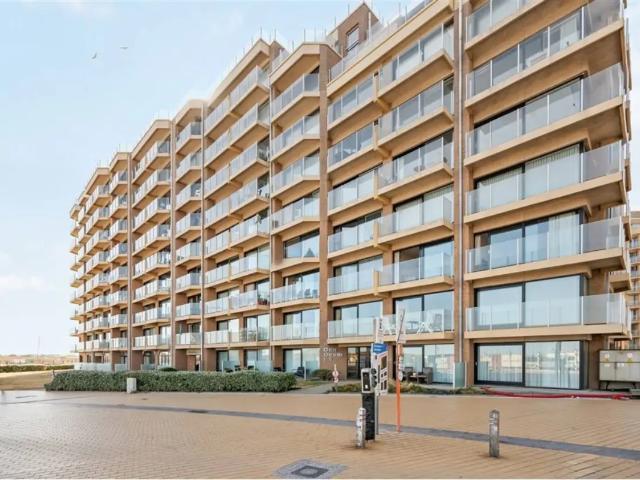 Kot vente à Nieuwpoort, West-Vlaanderen