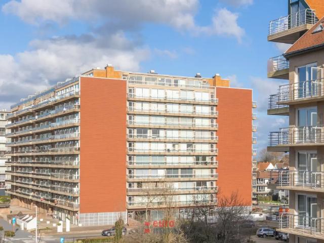 Kot vente à Nieuwpoort, West-Vlaanderen