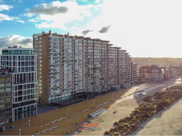 Kot vente à Nieuwpoort, West-Vlaanderen