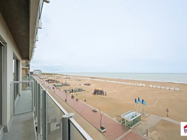 Kot vente à Coxyde, West-Vlaanderen