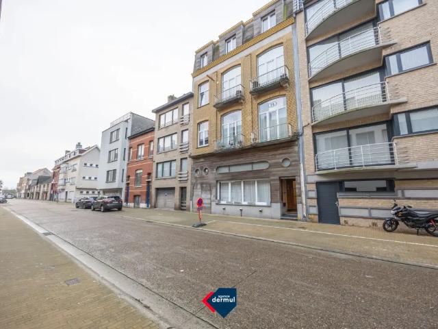 Kot vente à Oostende, West-Vlaanderen