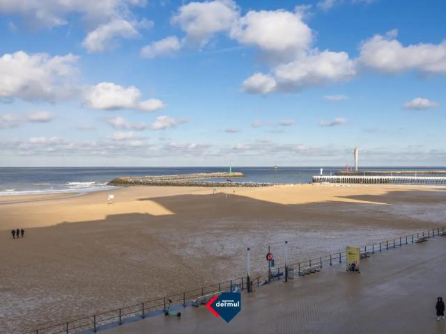 Kot vente à Oostende, West-Vlaanderen