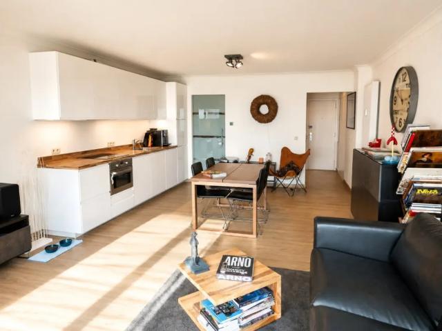 Kot vente à Oostende, West-Vlaanderen