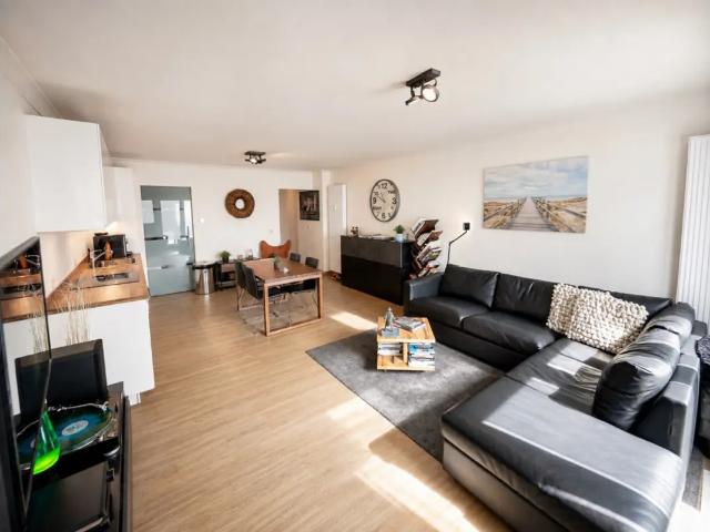 Kot vente à Oostende, West-Vlaanderen