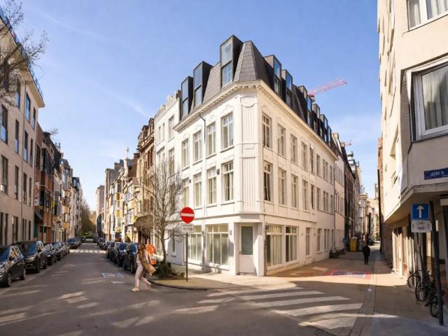 Kot vente à Oostende, West-Vlaanderen