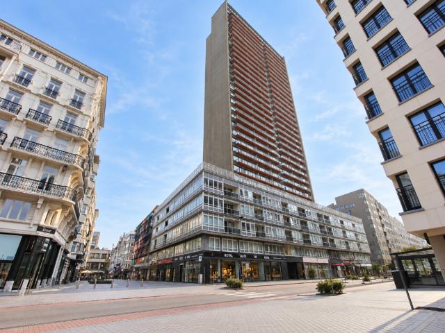 Kot vente à Oostende