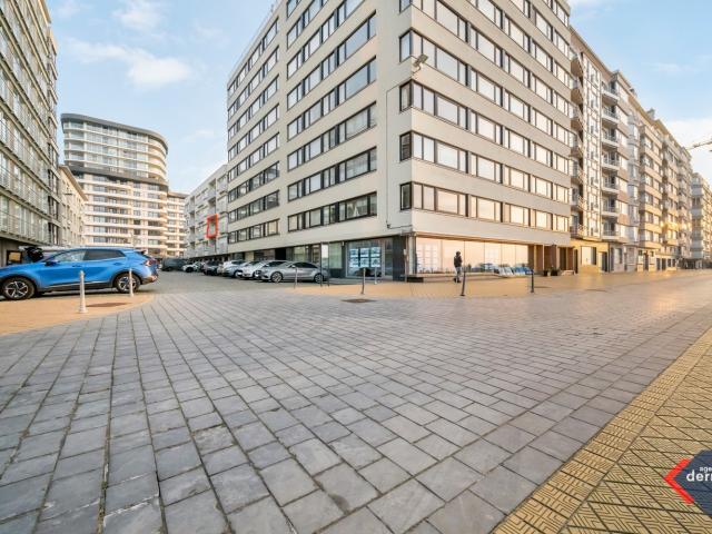 Kot vente à Oostende, West-Vlaanderen