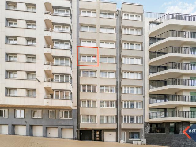 Kot vente à Oostende, West-Vlaanderen