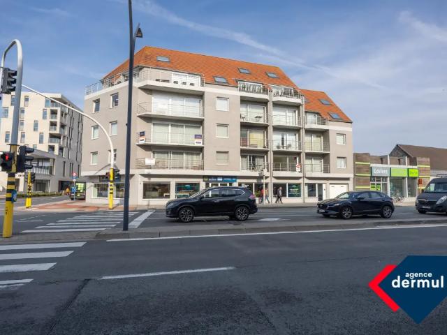 Kot vente à Oostende, West-Vlaanderen