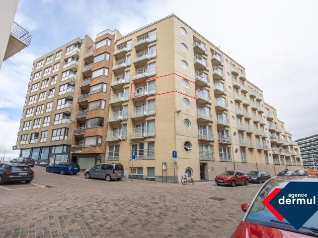 Kot vente à Oostende, West-Vlaanderen