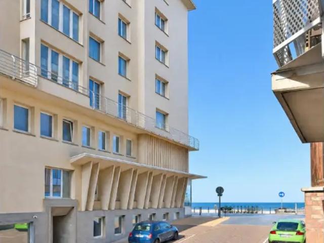 Kot vente à Mariakerke, Oostende