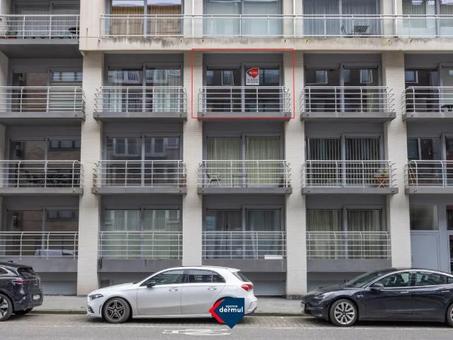Kot vente à Oostende, West-Vlaanderen