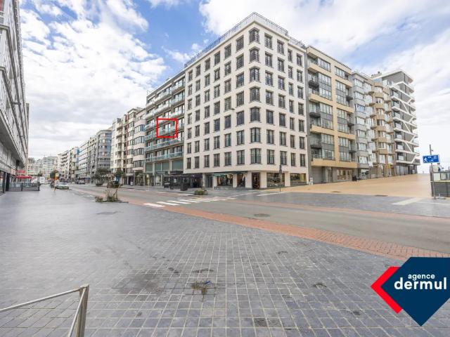 Kot vente à Oostende, West-Vlaanderen