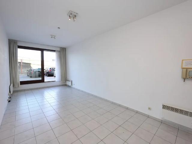 Kot vente à Oostende, West-Vlaanderen