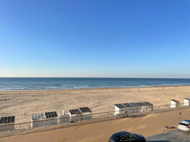 Kot vente à Oostende, West-Vlaanderen