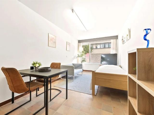 Kot vente à Renaix, Oost-Vlaanderen