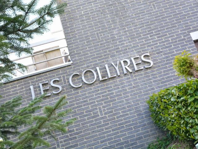 Kot vente à Han-sur-lesse, Wallonie