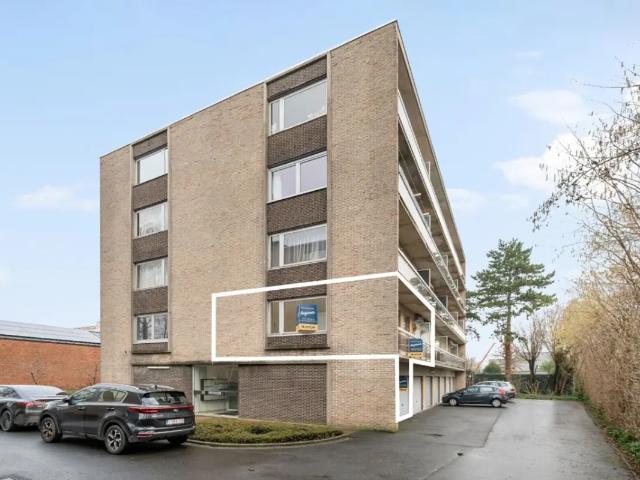 Kot vente à Roeselare, West-Vlaanderen