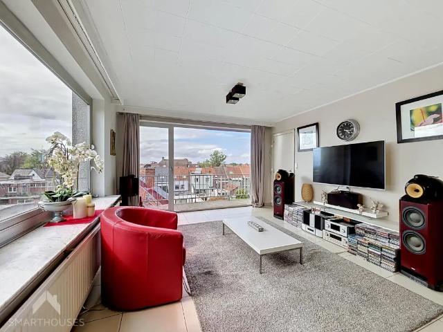 Kot vente à Roeselare, West-Vlaanderen