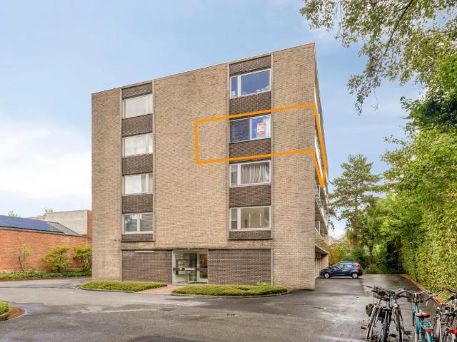 Kot vente à Roeselare, West-Vlaanderen