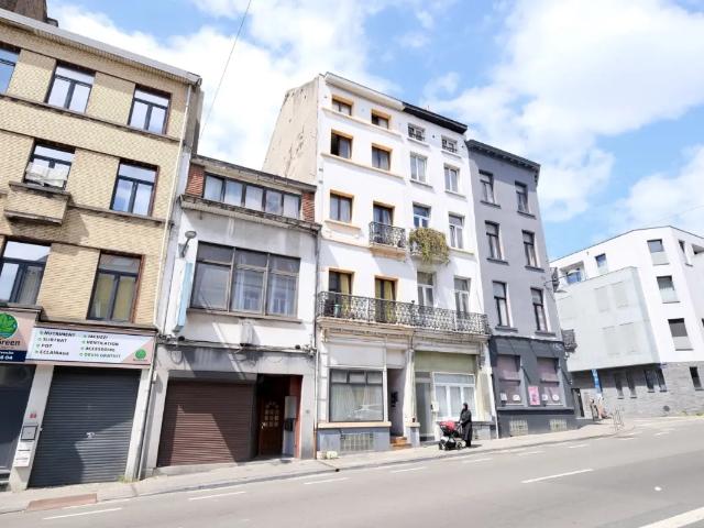 Kot vente à Schaarbeek, Bruxelles
