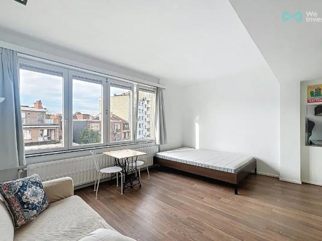 Kot vente à Schaerbeek, Bruxelles