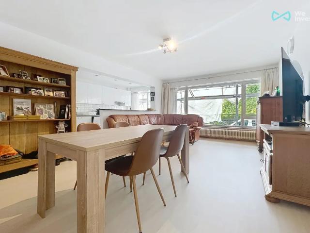 Kot vente à Schaerbeek, Bruxelles