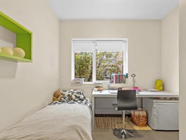 Kot vente à Brugge, West-Vlaanderen