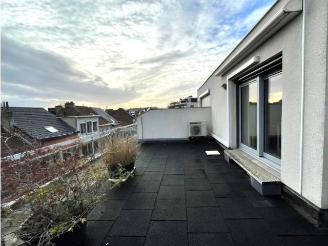 Kot vente à Strombeek-bever, Brabant