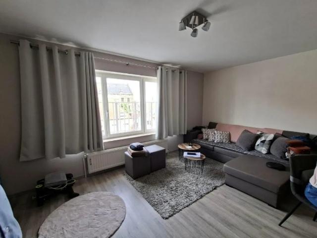 Kot vente à Brunehaut, Wallonie