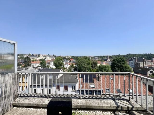 Kot vente à Uccle, Bruxelles