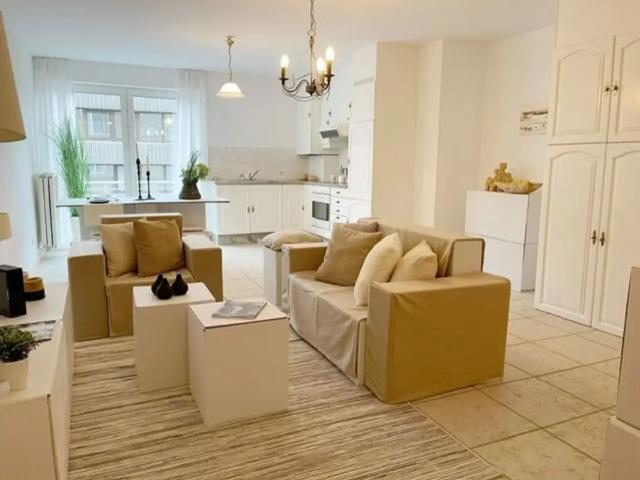 Kot vente à Brabant