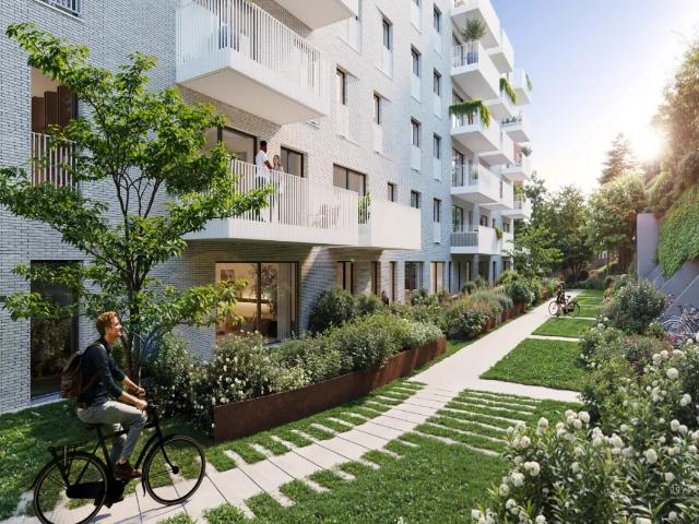 Kot vente à Sint-lambrechts-woluwe, Bruxelles