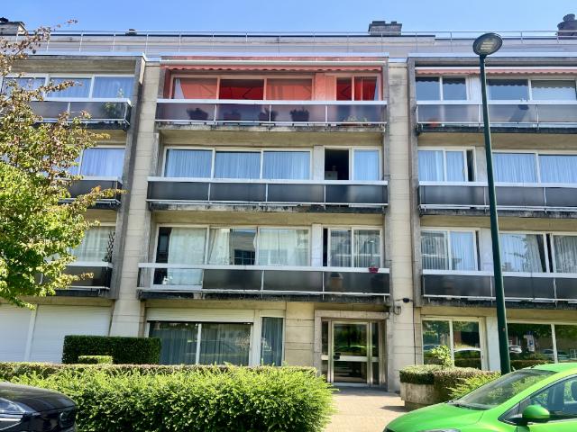 Kot vente à Sint-pieters-woluwe, Bruxelles