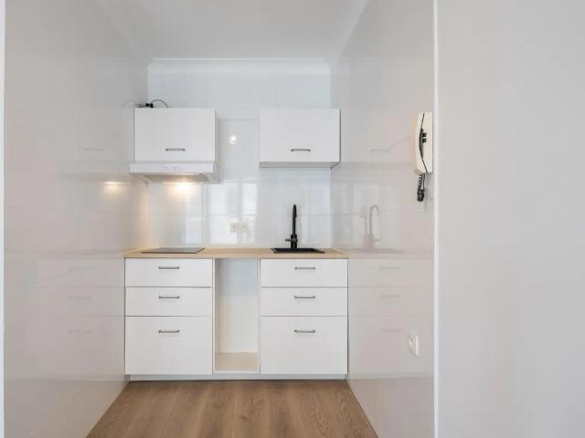 Kot vente à Brugge, West-Vlaanderen