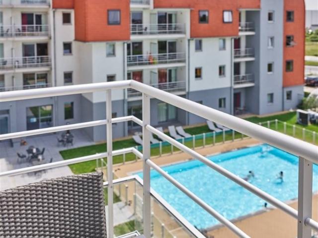 Kot vente à Brugge, West-Vlaanderen