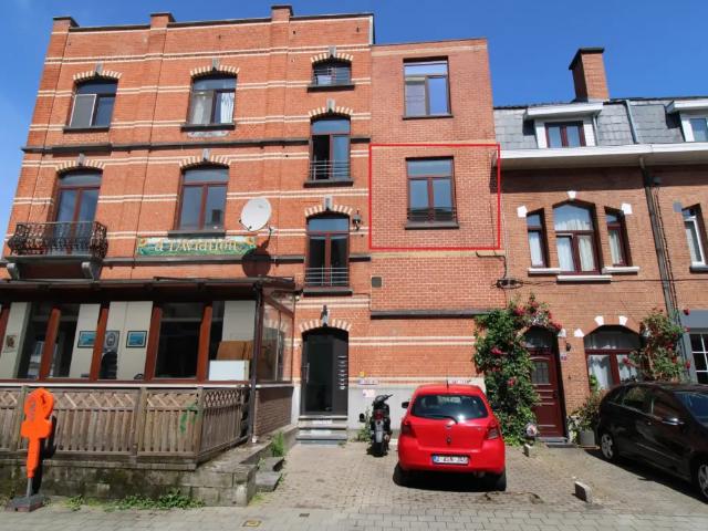 Kot vente à Assche, Brabant