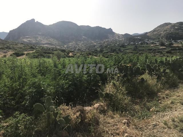 Propriété vente à L'Oriental