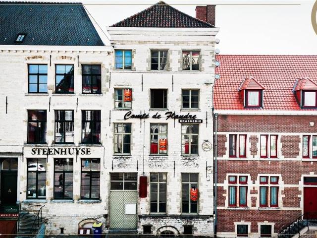 Local Commercial vente à Audenarde, Oost-Vlaanderen