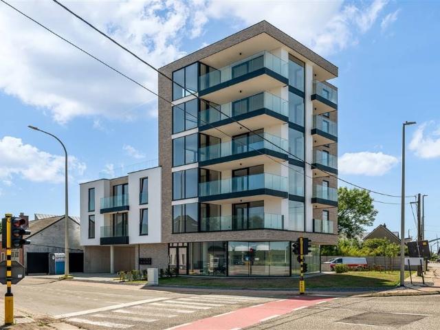 Local Commercial vente à Beringen, Limburg