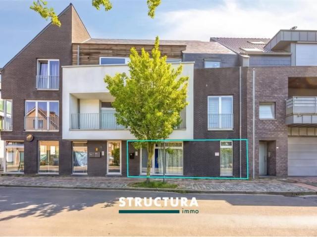 Local Commercial vente à Meise, Brabant