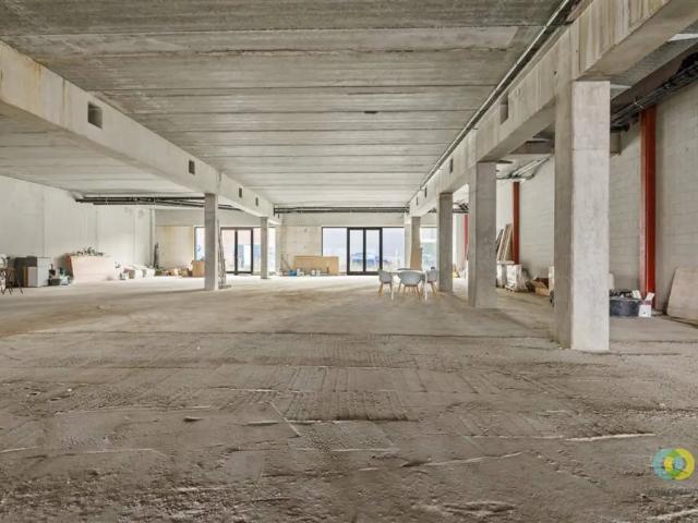 Local Commercial vente à Vilvoorde, Brabant
