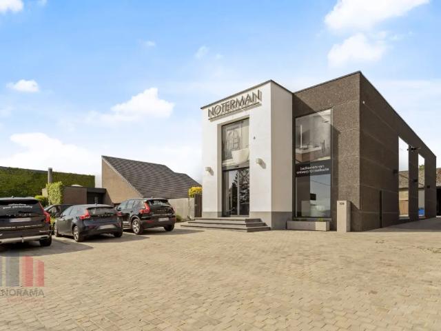 Local Commercial vente à Audenarde, Oost-Vlaanderen
