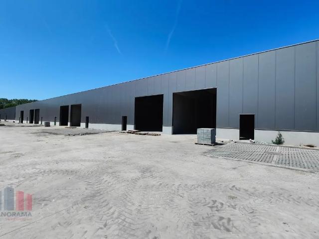 Local Commercial vente à Brugge, West-Vlaanderen